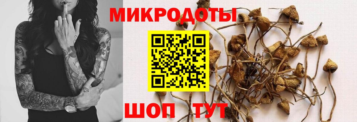 где можно купить наркотик  Вход с VPN  Галлюциногенные грибы MAGIC MUSHROOMS  Майкоп  Псилоцибиновые грибы мухоморы 